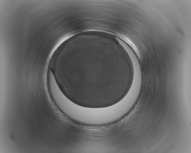 X0000116871138201001051439
