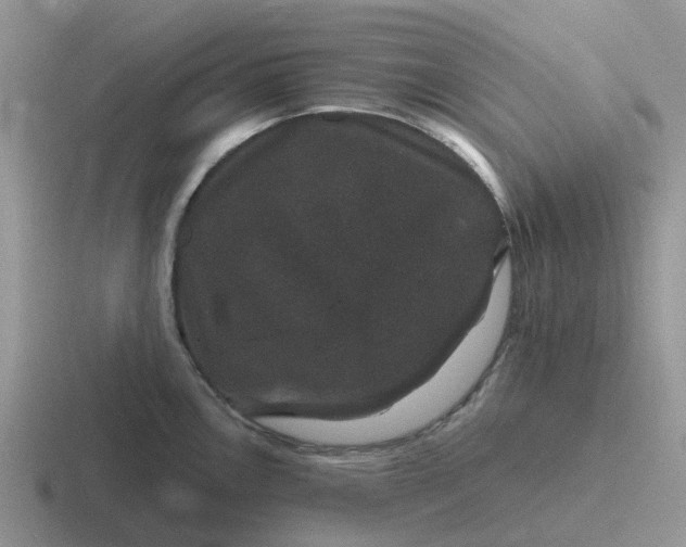 X0000116871146201001051439