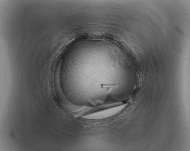 X0000116871153201001051439