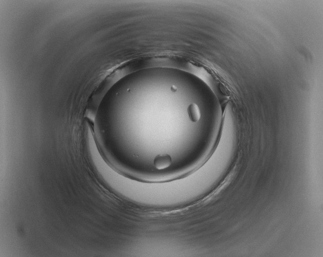 X0000116871161201001051439