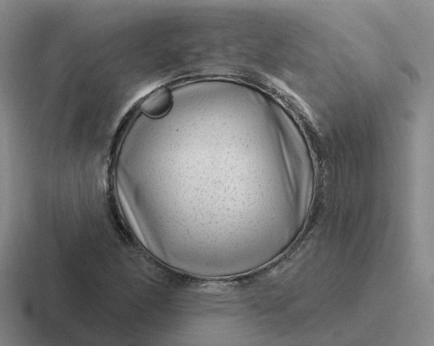X0000116871166201001051439
