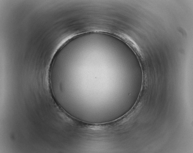 X0000116871182201001051438