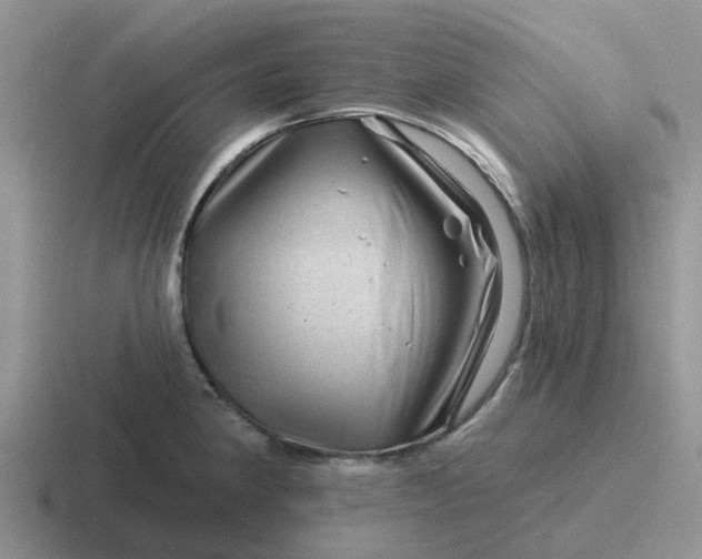 X0000116871190201001051438