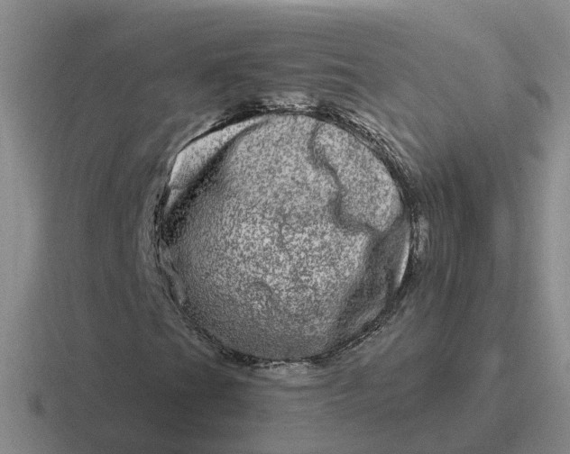 X0000116871201201001051438