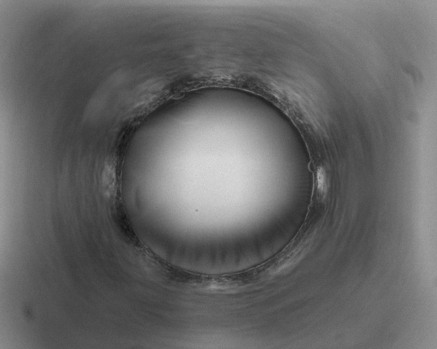 X0000116871203201001051438