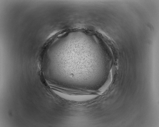 X0000116871206201001051438