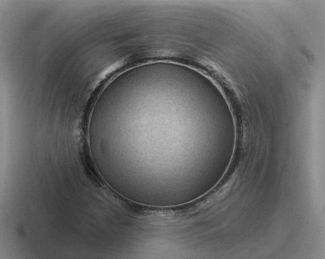 X0000116871210201001051438