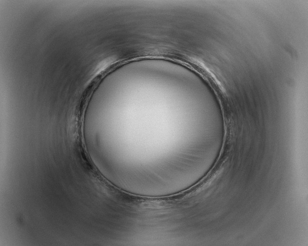 X0000116871211201001051438