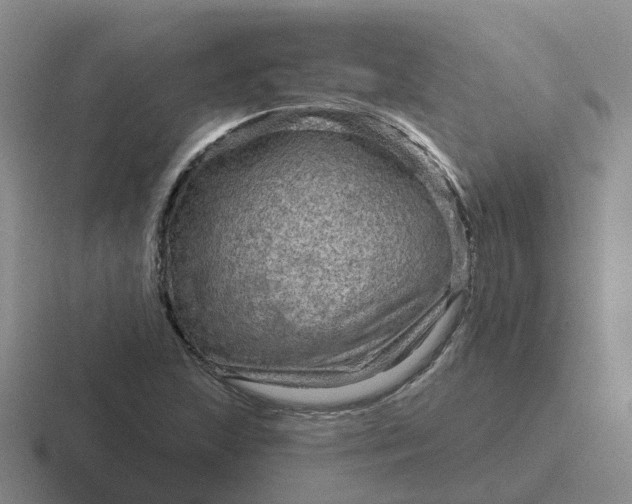 X0000116871215201001051438