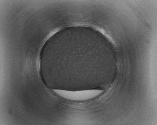 X0000116871221201001051438