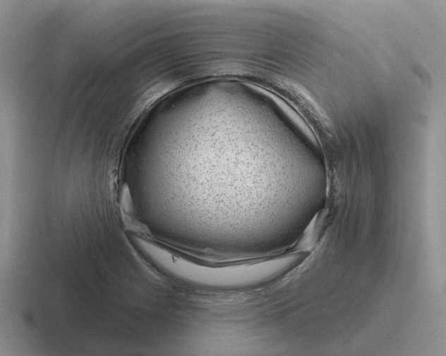 X0000116871225201001051438