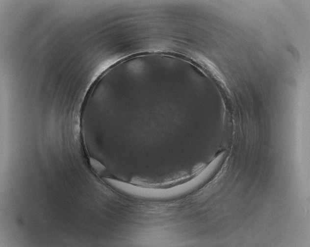 X0000116871226201001051438