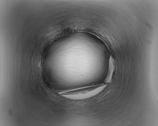 X0000116871250201001051438