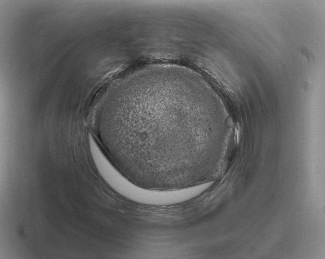 X0000116871251201001051438