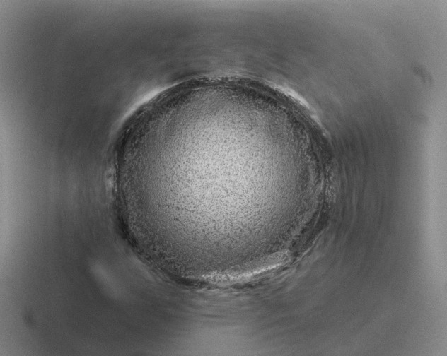 X0000116871255201001051438