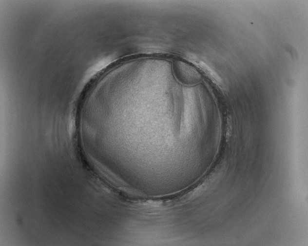 X0000116871261201001051437