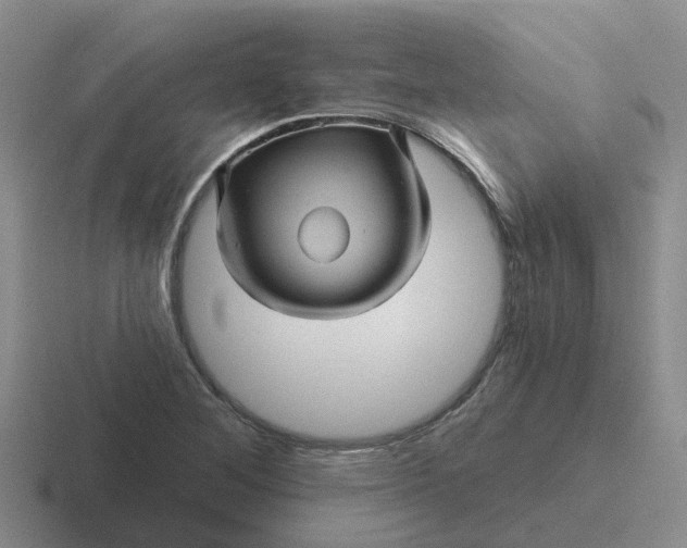 X0000116871268201001051437