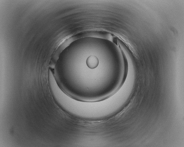 X0000116871273201001051437