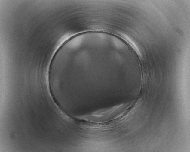 X0000116871291201001051437