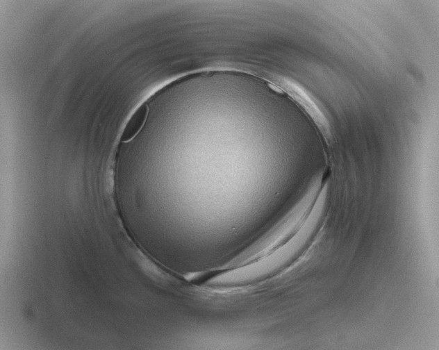 X0000116871292201001051437
