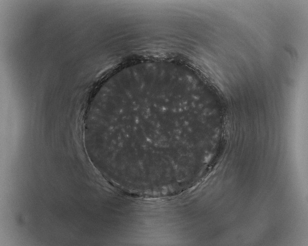 X0000116871297201001051436
