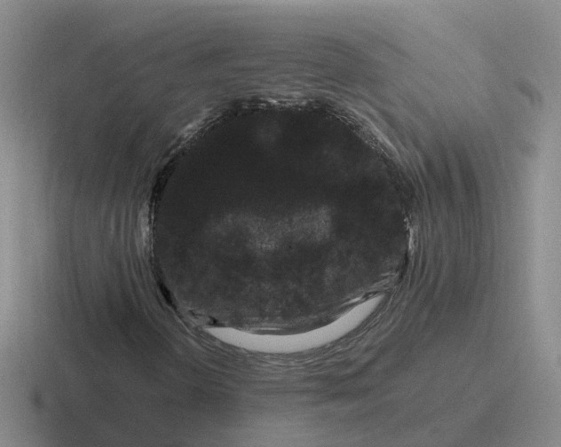 X0000116871298201001051436