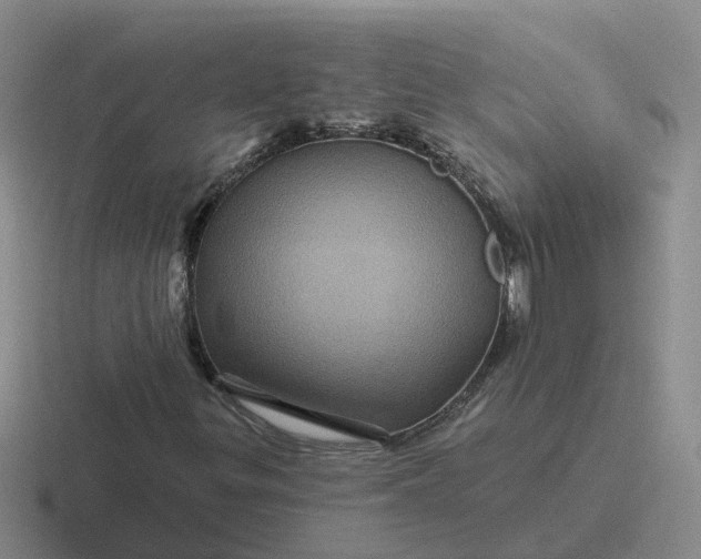 X0000116871299201001051436