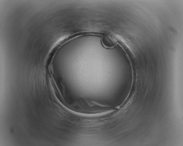 X0000116871307201001051437
