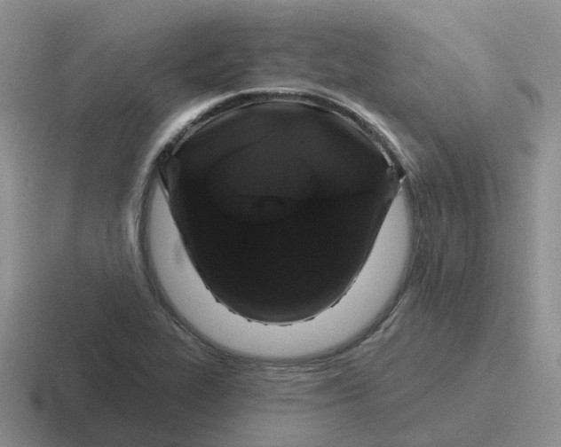 X0000116871319201001051437