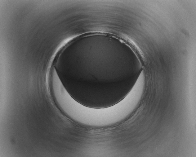 X0000116871323201001051437