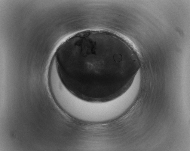 X0000116871327201001051437