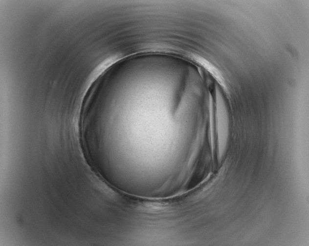 X0000116871330201001051437