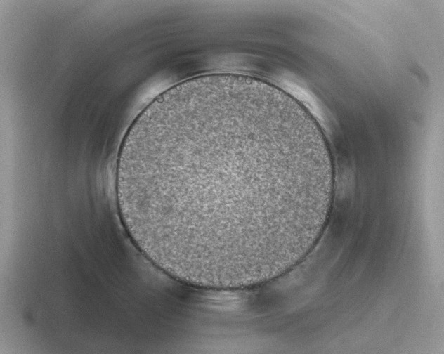 X0000116871338201001051437