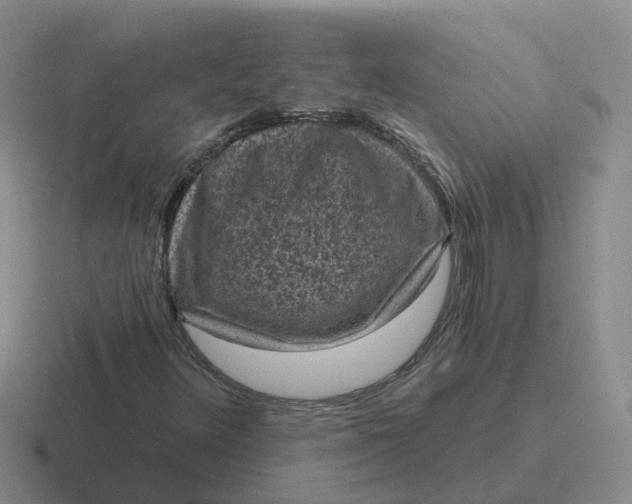 X0000116871348201001051436
