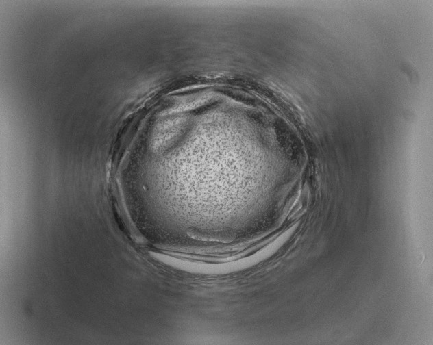 X0000116871349201001051436