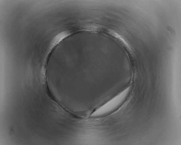 X0000116871362201001051436