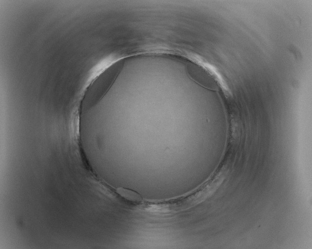 X0000116871365201001051436