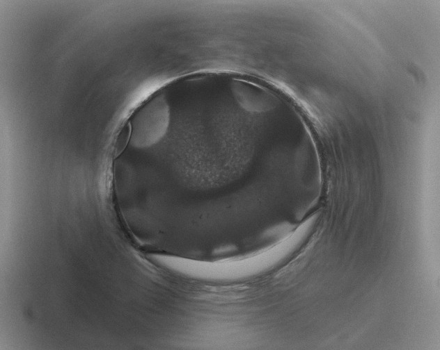 X0000116871367201001051436