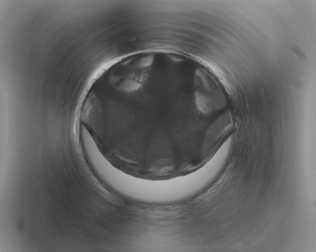 X0000116871371201001051436
