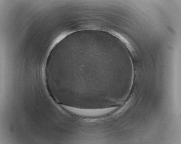 X0000116871373201001051436