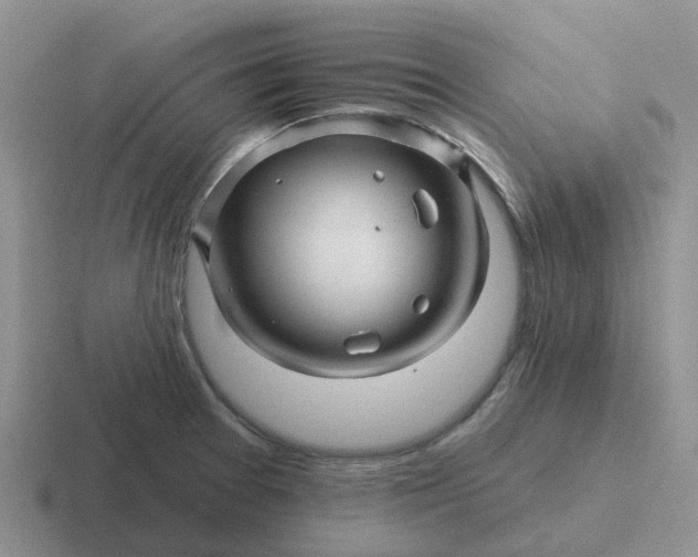 X0000116871377201001051436
