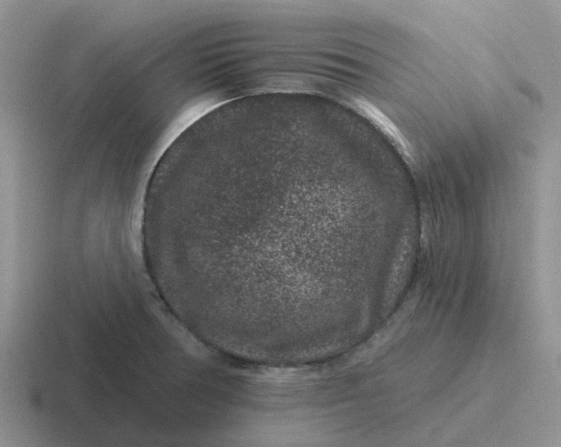 X0000116871378201001051436