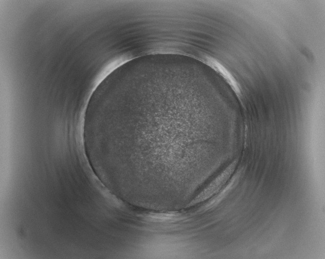X0000116871386201001051436