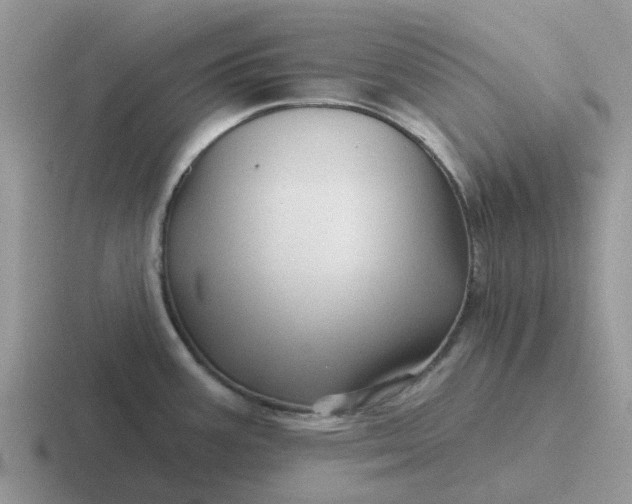X0000116871387201001051436
