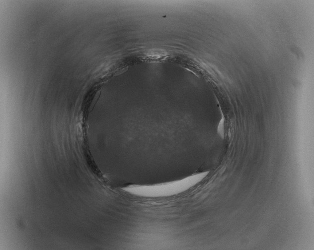 X0000116871394201001051435