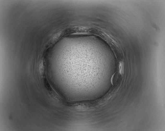 X0000116871395201001051435