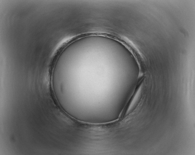 X0000116871408201001051435