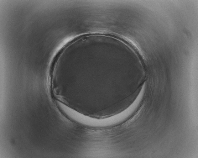 X0000116871414201001051435