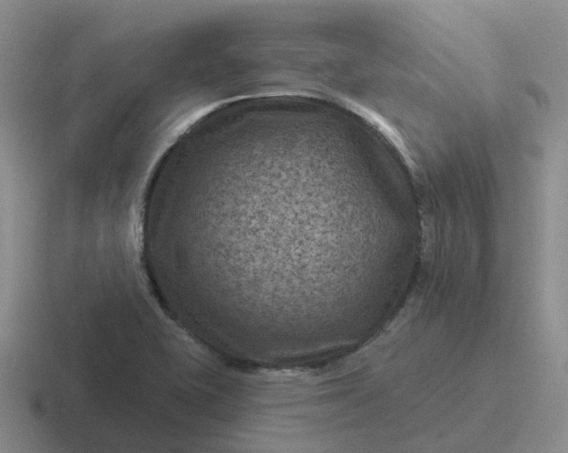 X0000116871415201001051436