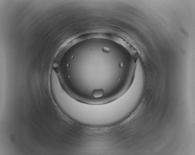 X0000116871417201001051436
